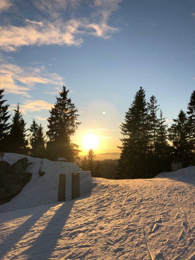 Apartmány Sportrelax Albrechtice v Jizerskych horach Esterno foto
